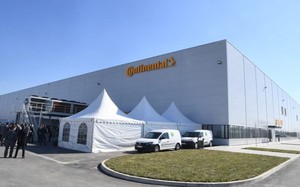 Small continental