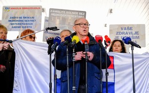 Small topolnjak