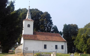 Small nikolaj %c4%86irilica