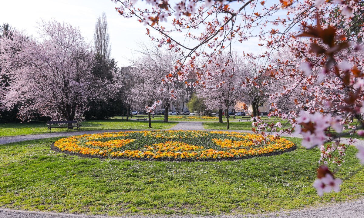 Large dubravka petri%c3%a5 osijek park