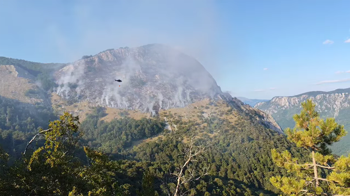 Large portal sutjeska pozar