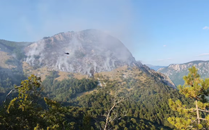 Small sutjeska