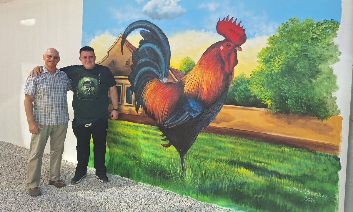 Large borovo dobilo prvi mural