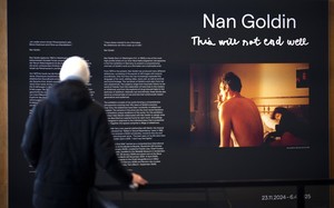 Small nan goldin berlin imago