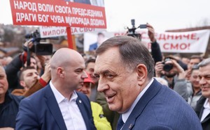 Small dodik