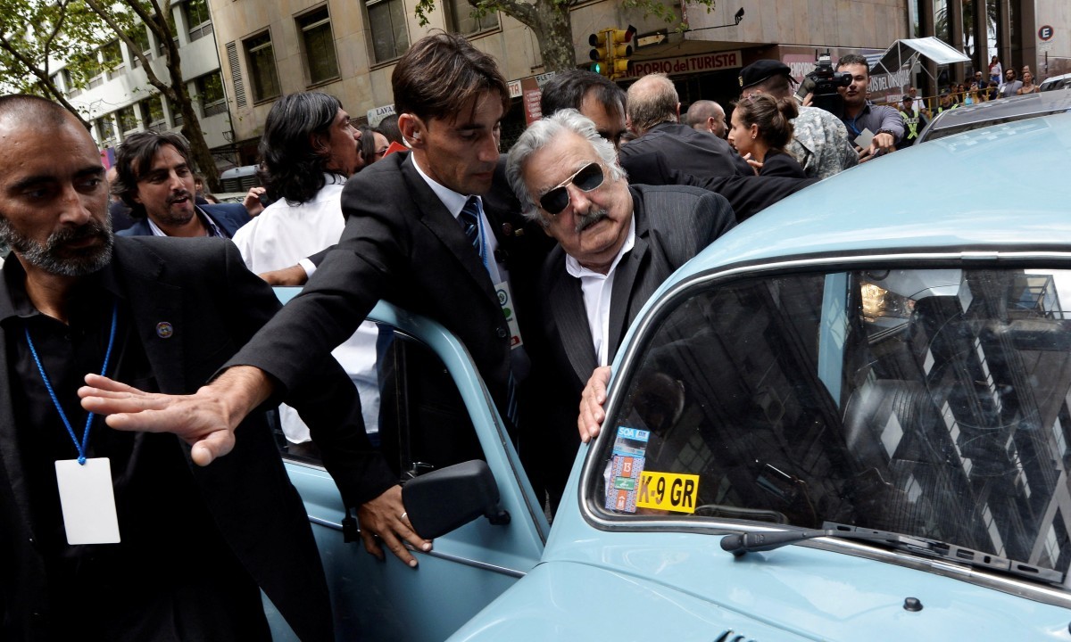 Large mujica