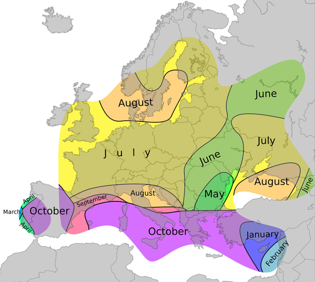 Mjesec s vrhuncem aktivnosti tornada u Europi (izvor: www.essl.org)