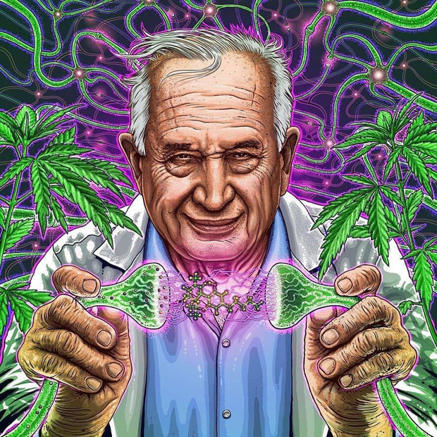 Raphael Mechoulam, kemičar i "otac kanabisa" (Foto: Muzej kanabisa/PIXSELL)