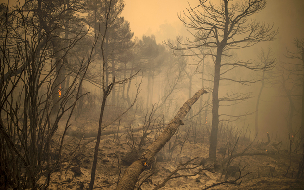 Posljedice požara u blizini glavnog grada Grčke (Foto: Angelos Tzortzinis/DPA/PIXSELL)